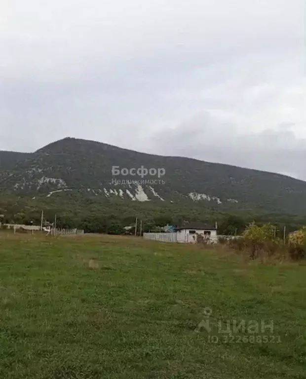 Участок в Крым, Белогорский район, Курское с/пос, с. Тополевка ул. ... - Фото 2