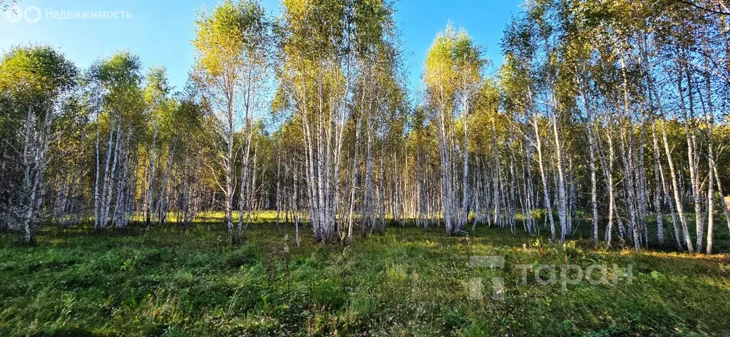 Участок в Кременкульское сельское поселение, коттеджный посёлок ... - Фото 1