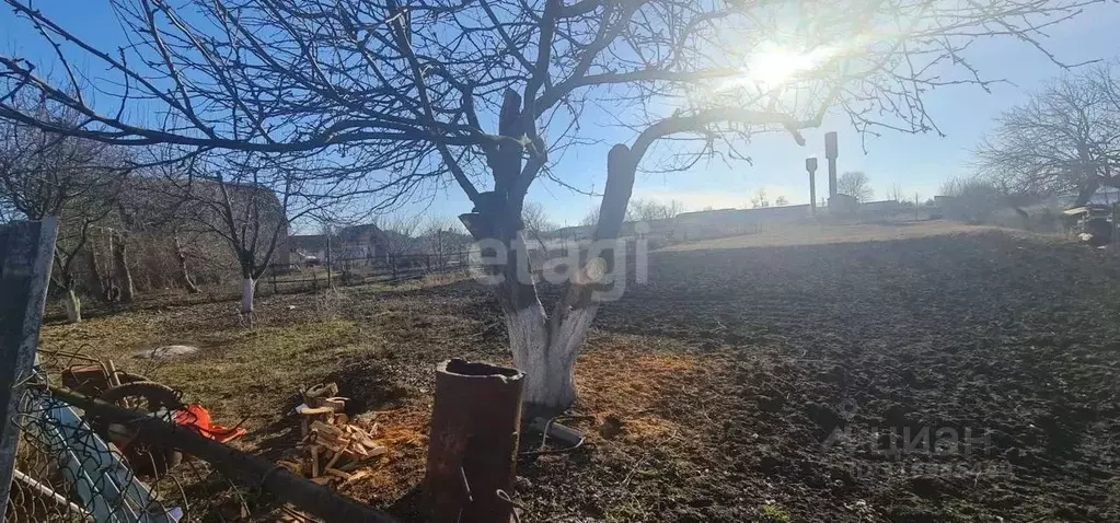 Участок в Белгородская область, Белгородский район, Пушкарское с/пос, ... - Фото 2