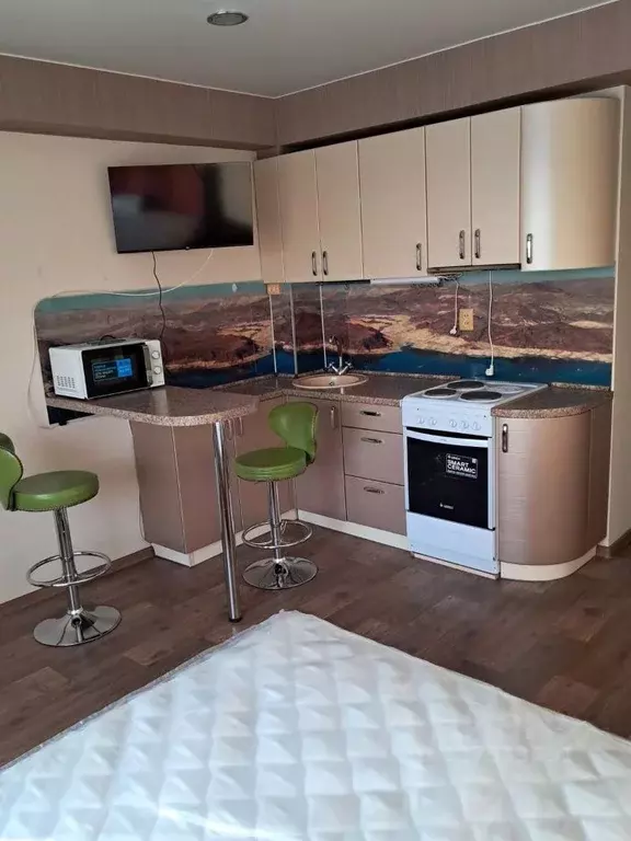 Студия Иркутская область, Иркутск ул. Пискунова, 148 (29.6 м) - Фото 1