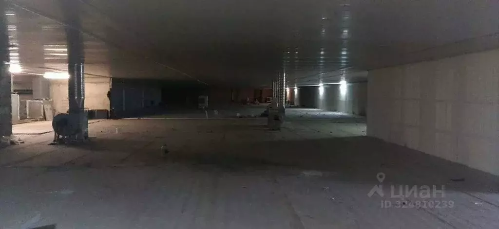 Помещение свободного назначения в Москва Рябиновая ул., 32 (650 м) - Фото 2