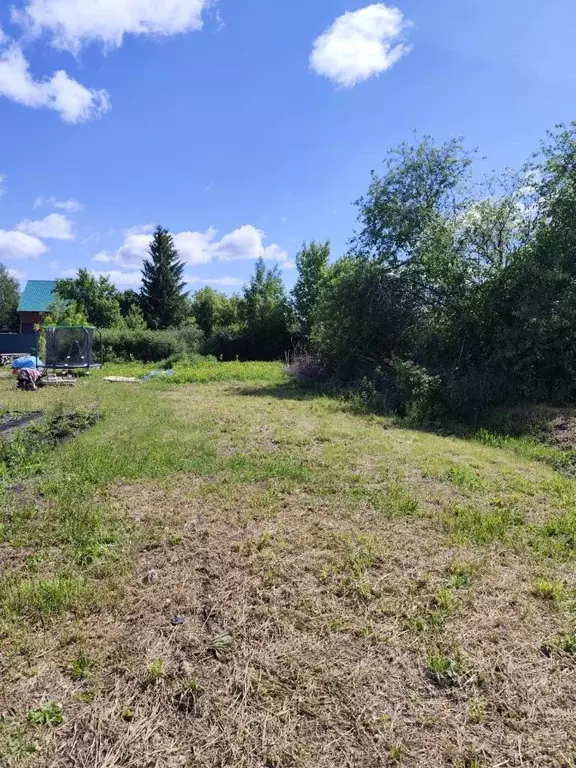 Участок в Алтайский край, Барнаул городской округ, с. Власиха пер. ... - Фото 1