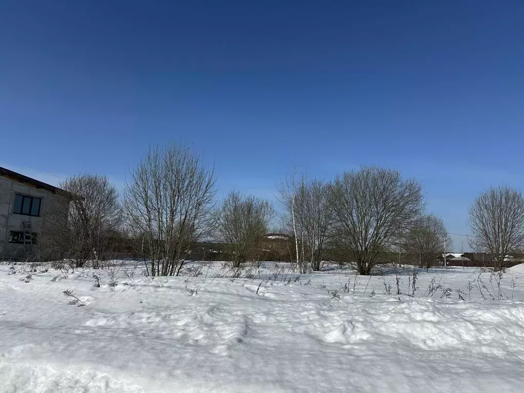 Участок в Московская область, Чехов муниципальный округ, д. Большое ... - Фото 1