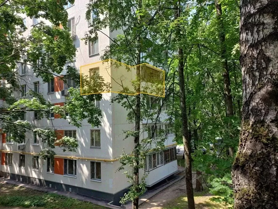 Свободной планировки кв. Москва ул. Генерала Тюленева, 35 (19.6 м) - Фото 2