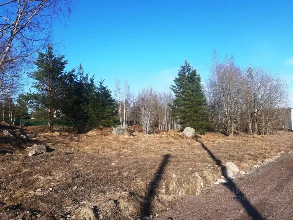 Участок в Ленинградская область, Приозерский район, Мельниковское ... - Фото 1