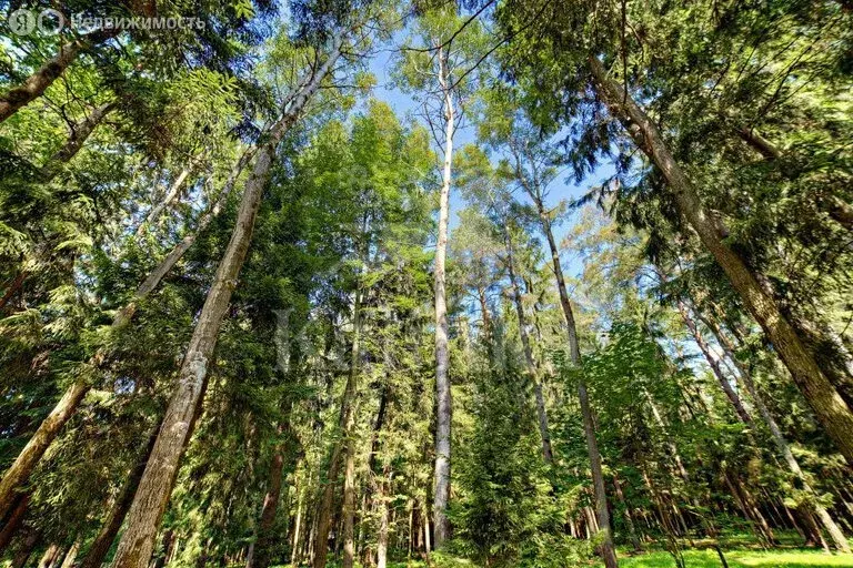 Участок в посёлок Барвиха, территория НПИЗ Барвиха (14.7 м) - Фото 1