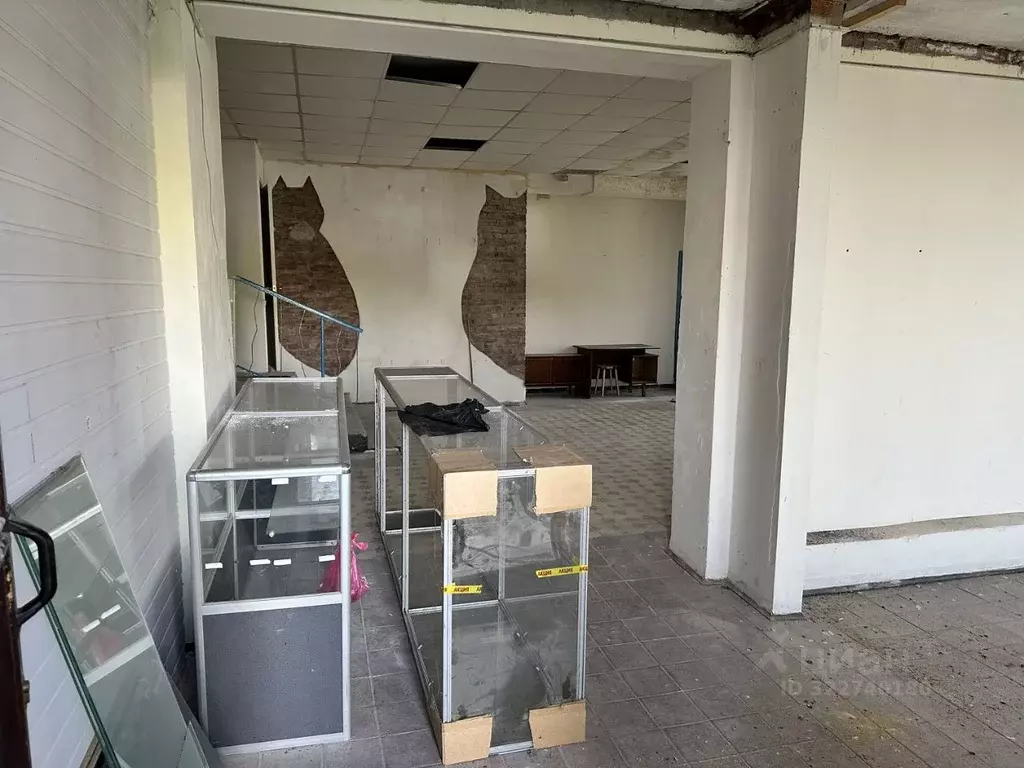 Помещение свободного назначения в Ленинградская область, Выборг ... - Фото 1