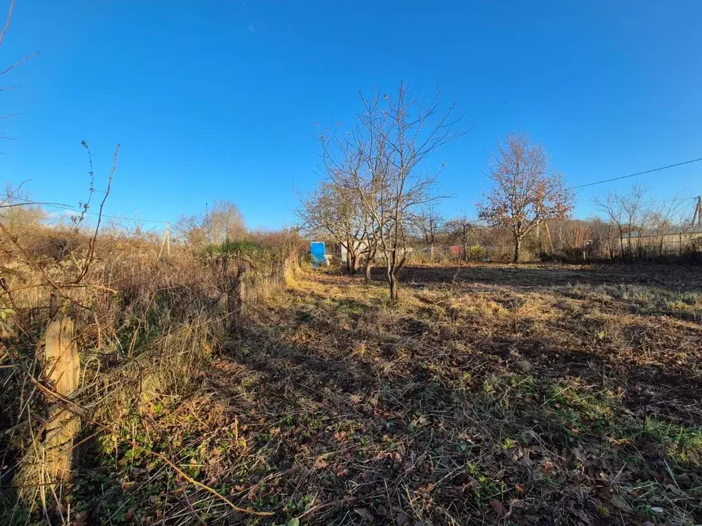 Участок в Калининградская область, Пионерский Южный СНТ, 301 (5.2 ... - Фото 1