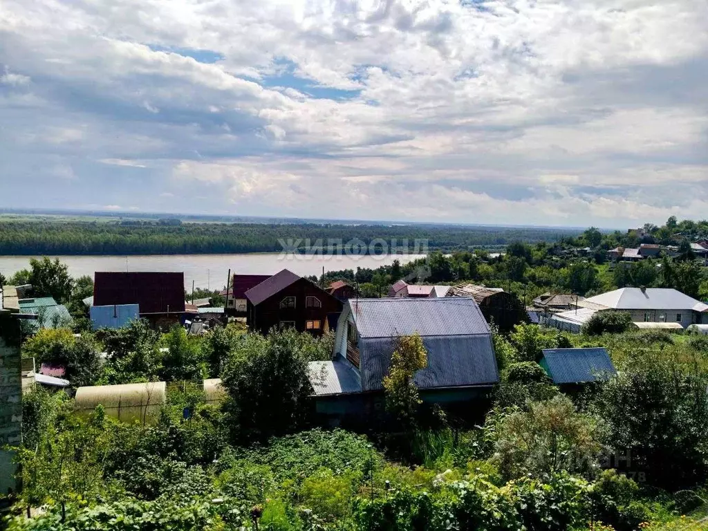 Дом в Алтайский край, Барнаул Бельмесевская ул. (53 м) - Фото 0