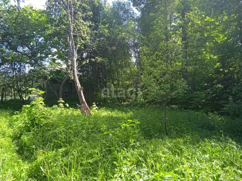 Дом в Калужская область, Калуга ГПИ-8 на Терепце СНТ,  (48 м) - Фото 0