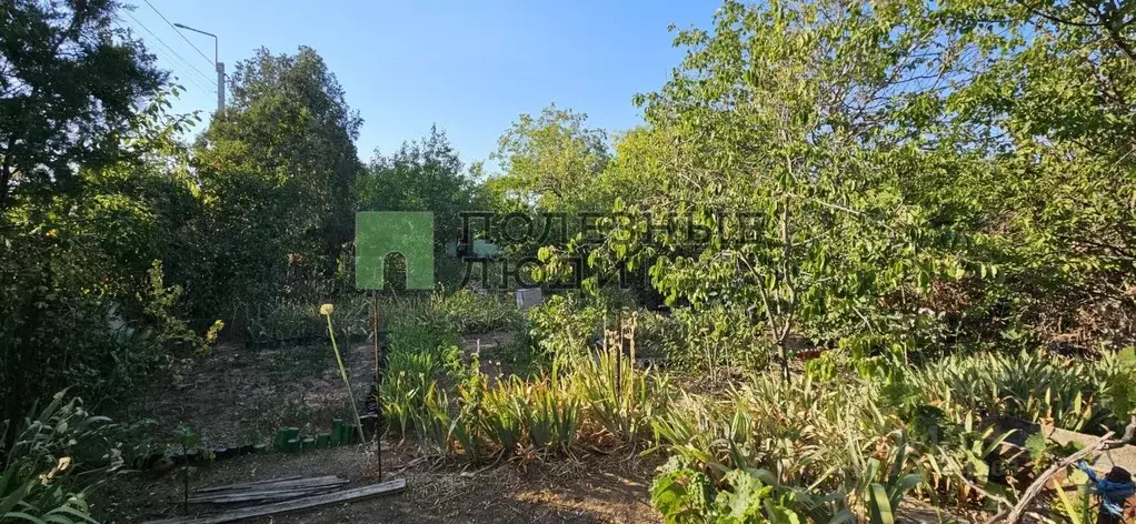 Участок в Севастополь Ветеран садоводческое товарищество, ул. Шабалина ... - Фото 1