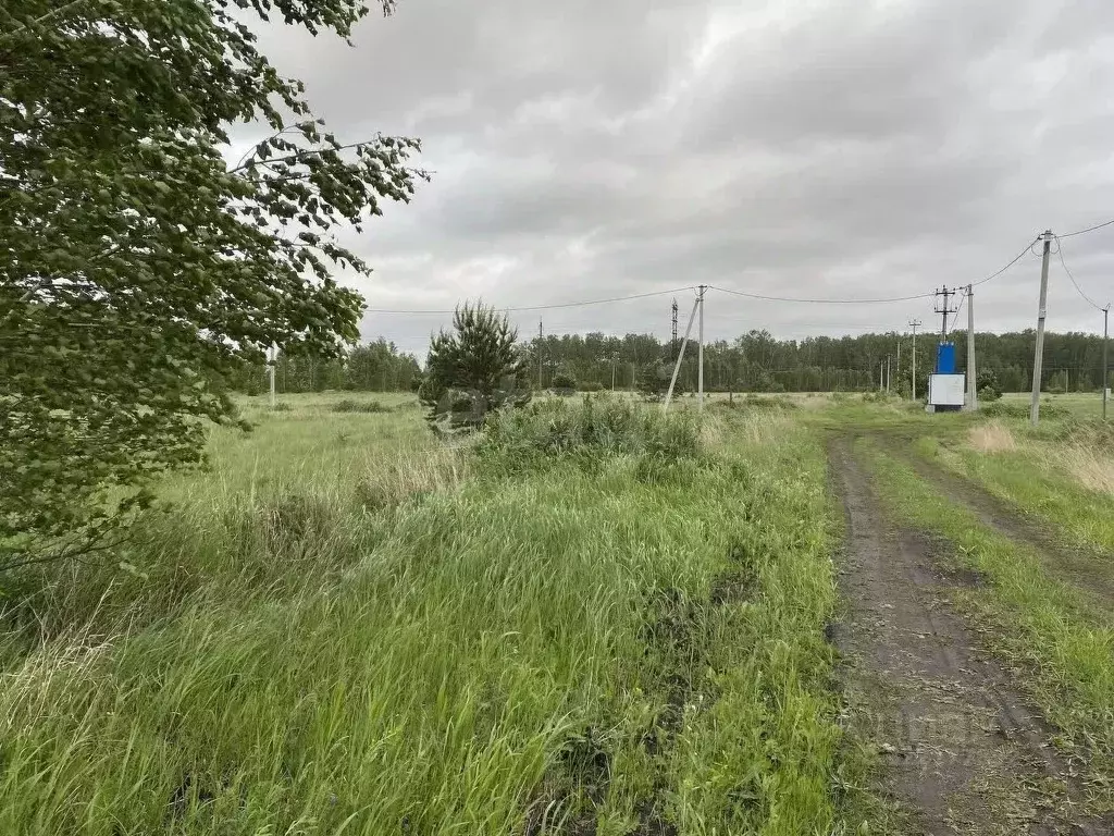 Участок в Курганская область, Кетовский муниципальный округ, с. ... - Фото 2