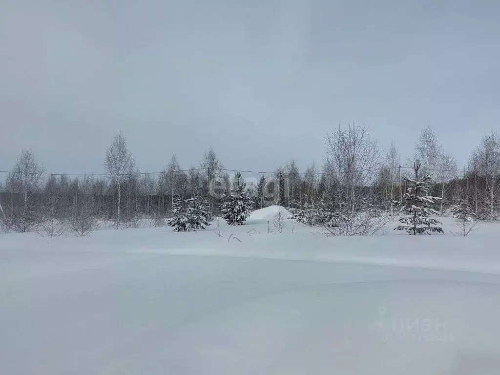 Участок в Челябинская область, Каслинский район, Тюбукское с/пос, пос. ... - Фото 1