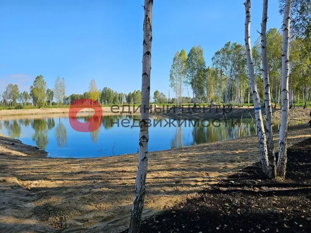 Участок в Тюменская область, Нижнетавдинский район, Строитель ТСН  ... - Фото 0