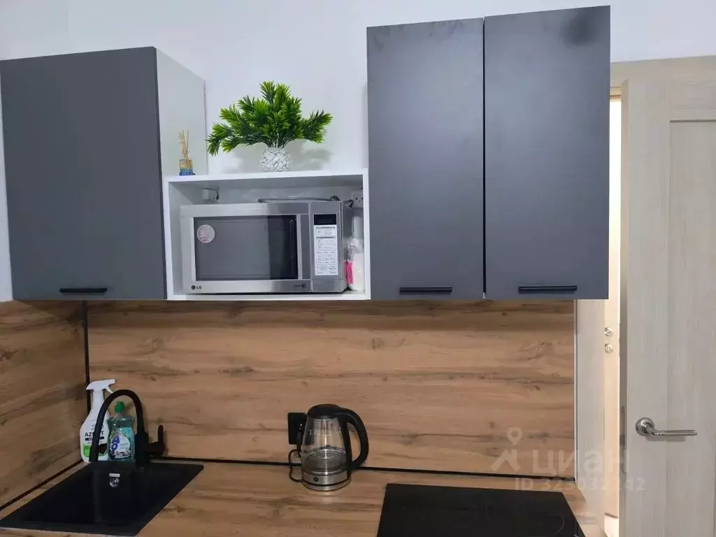 Студия Санкт-Петербург аллея Арцеуловская, 9 (23.0 м) - Фото 2