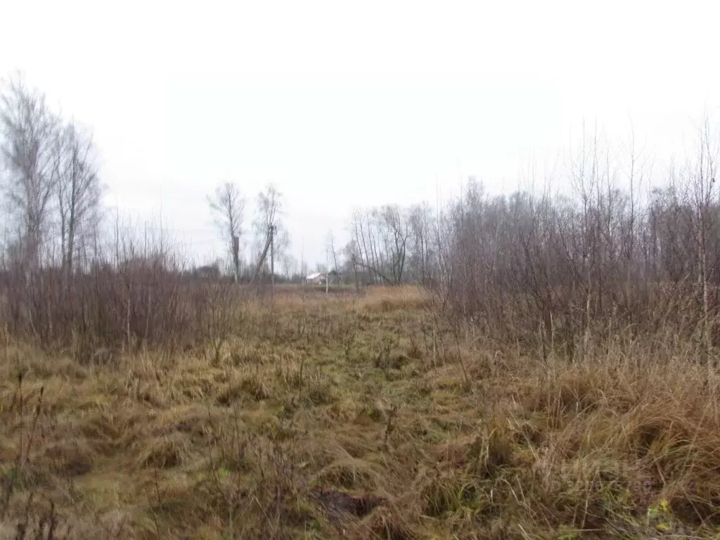 Участок в Московская область, Коломна городской округ, с. Бояркино  ... - Фото 2