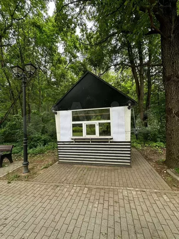 Сдам помещение свободного назначения, 15 м - Фото 1