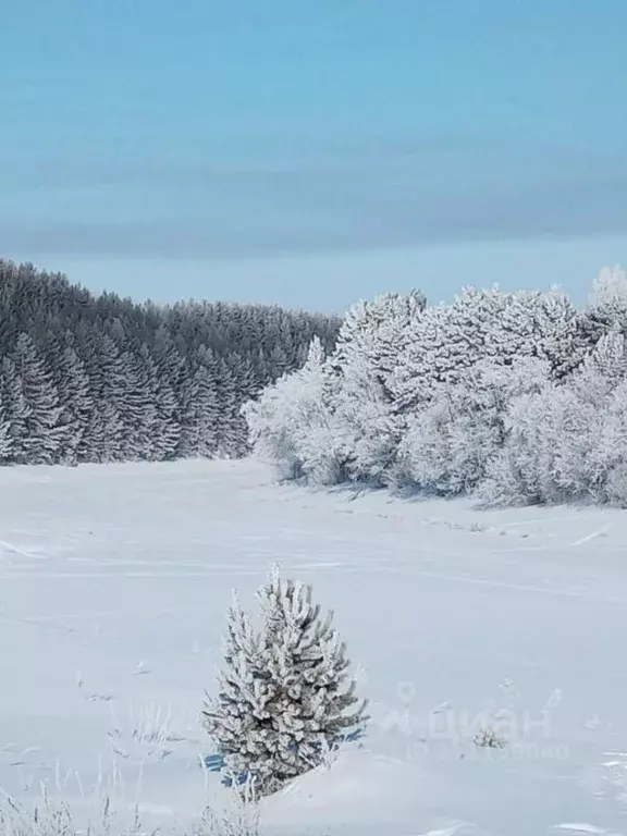 Дом в Свердловская область, Алапаевский район, с. Гостьково ул. ... - Фото 0