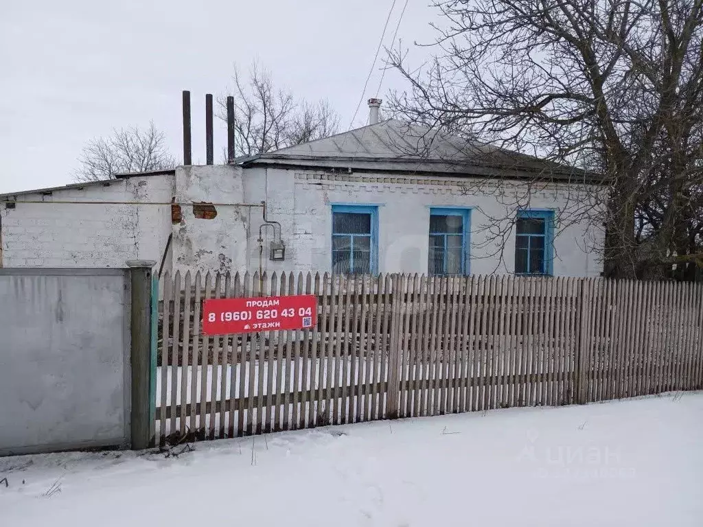 Дом в Белгородская область, Вейделевский район, с. Малакеево ул. ... - Фото 1