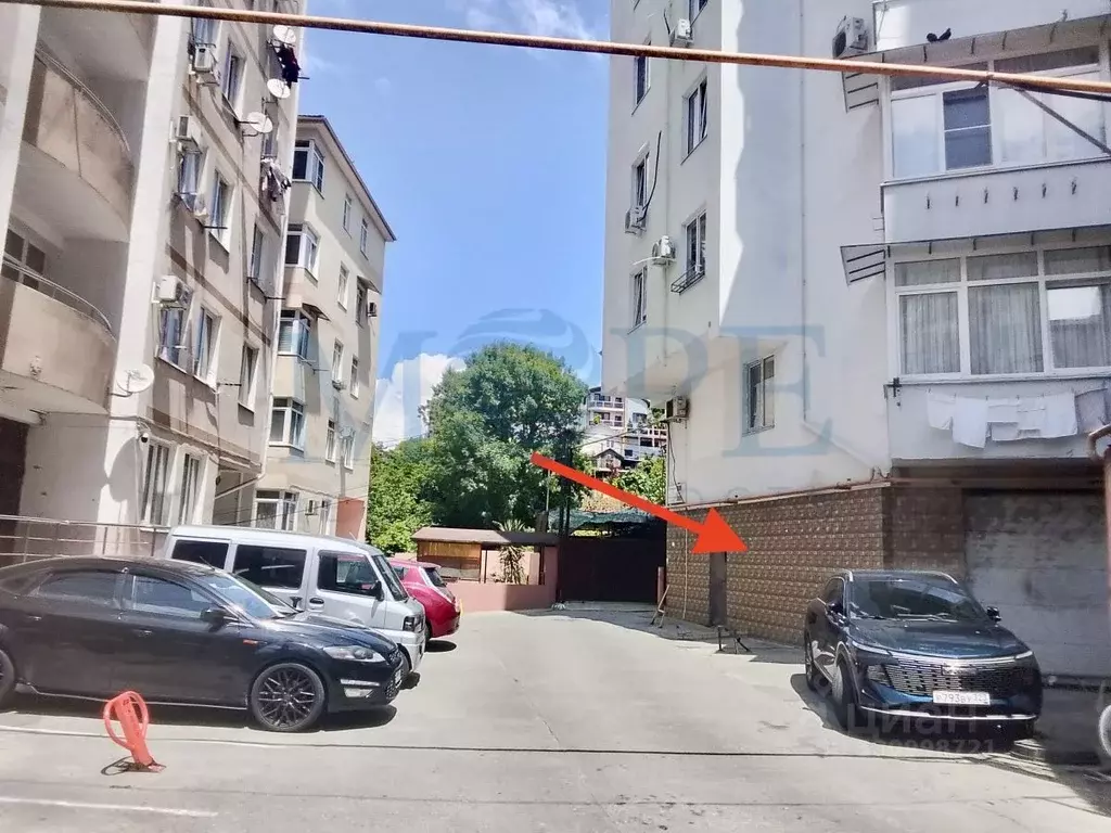Помещение свободного назначения в Краснодарский край, Сочи Виноградная ... - Фото 2