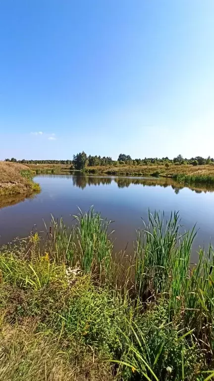 Дом в Тульская область, Заокский район, Демидовское муниципальное ... - Фото 0