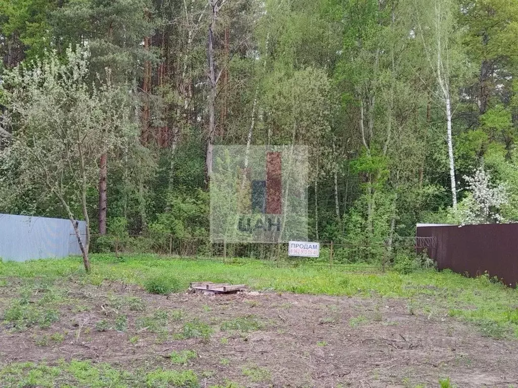 Участок в Московская область, Раменский муниципальный округ, Ильинский ... - Фото 1