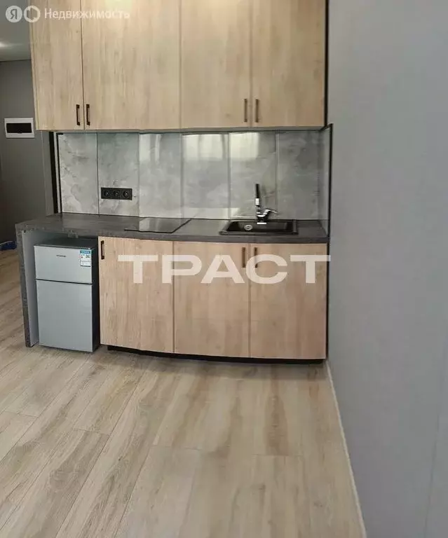 1-комнатная квартира: Воронеж, Херсонская улица, 21А (20.3 м) - Фото 1