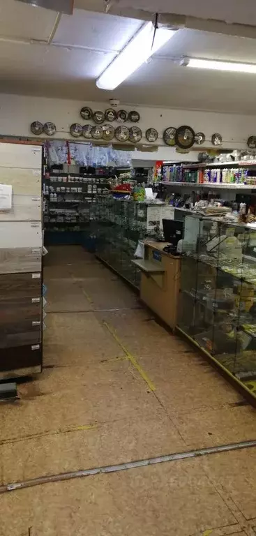 Помещение свободного назначения в Коми, Воркута ул. Энгельса, 12 (236 ... - Фото 2