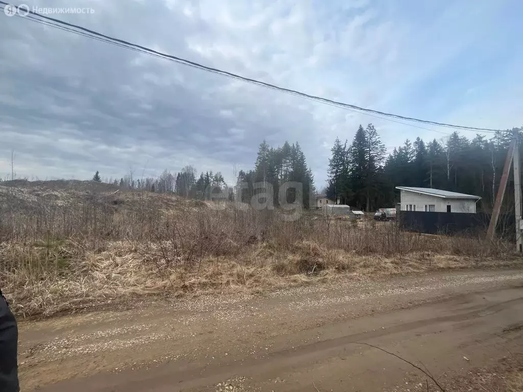 Участок в деревня Вартемяги, Щегловская улица (10 м) - Фото 1