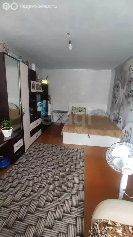 1-комнатная квартира: Прокопьевск, улица Шишкина, 23А (30 м) - Фото 0