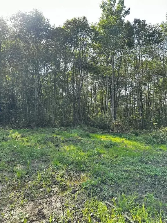 Участок в Ленинградская область, Ломоносовский район, Оржицкое с/пос, ... - Фото 2