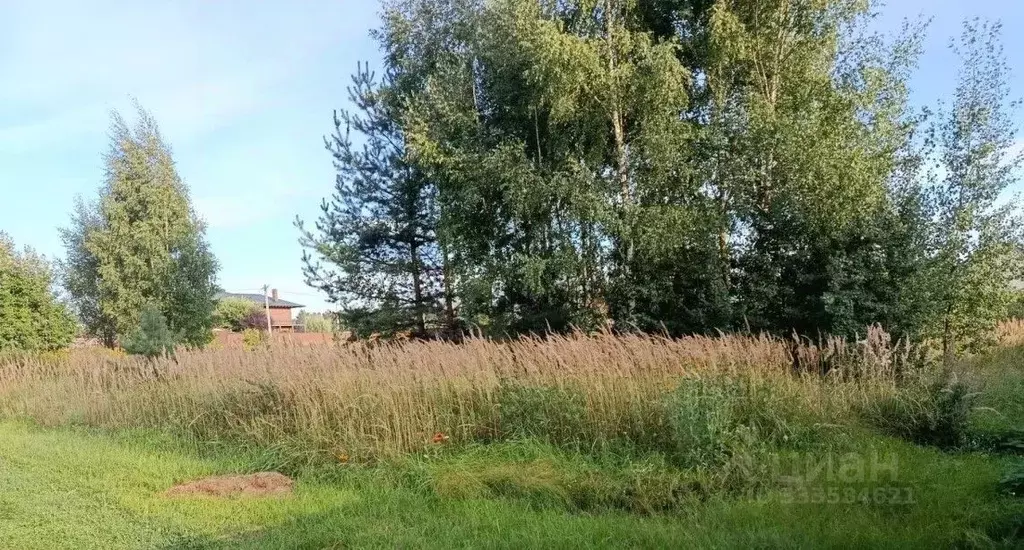 Участок в Московская область, Орехово-Зуевский городской округ, д. ... - Фото 1