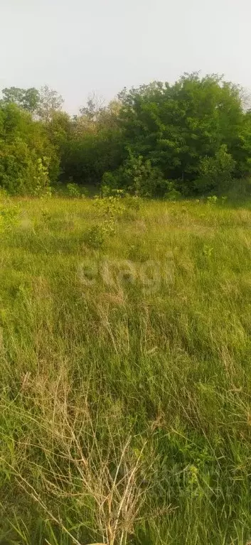 Участок в Белгородская область, Белгород Юго-Западный-2.1 мкр, ул. ... - Фото 0