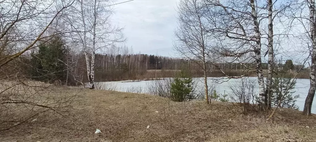 Участок в Московская область, Клин городской округ, с. Борщево  (6.0 ... - Фото 2