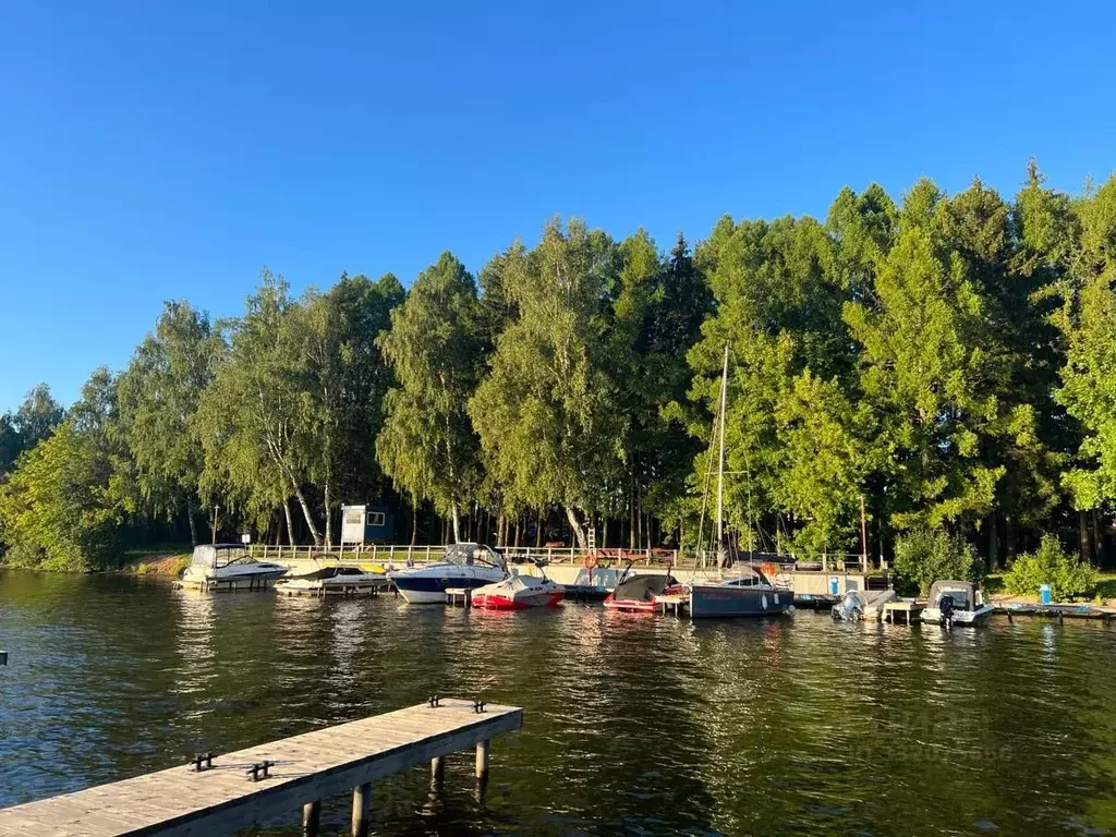 Участок в Московская область, Мытищи городской округ, д. Пчелка, ... - Фото 1