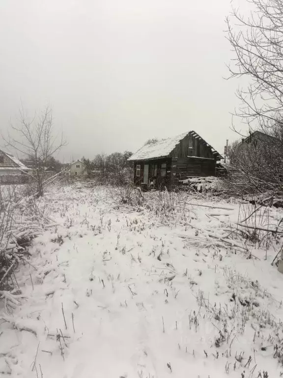 Участок в Московская область, Пушкинский городской округ, пос. ... - Фото 0