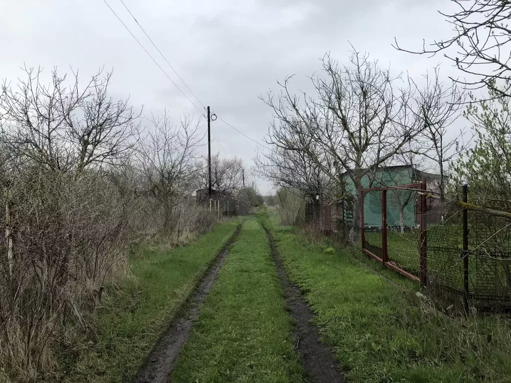 Купить Дачу В Приморке Неклиновского Района