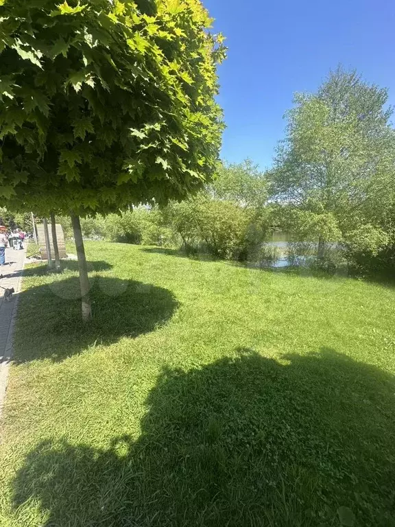 1-к. квартира, 37,1 м, 8/8 эт. - Фото 0