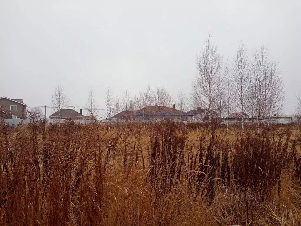 Участок в Нижегородская область, Богородск ул. Рябиновая, 45 (10.0 ... - Фото 2