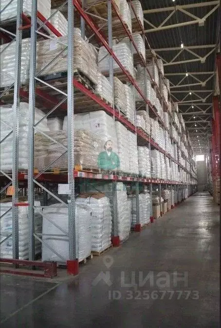 Склад в Московская область, Чехов муниципальный округ, д. Люторецкое 4 ... - Фото 2