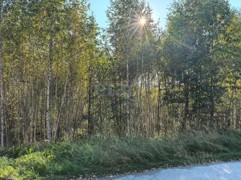 Участок в Свердловская область, Верх-Нейвинский пгт ул. Арапова, 100к6 ... - Фото 1