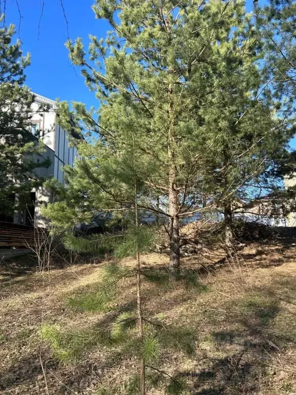 Участок в Татарстан, Казань Извилистая ул., 8А (4.0 сот.) - Фото 1