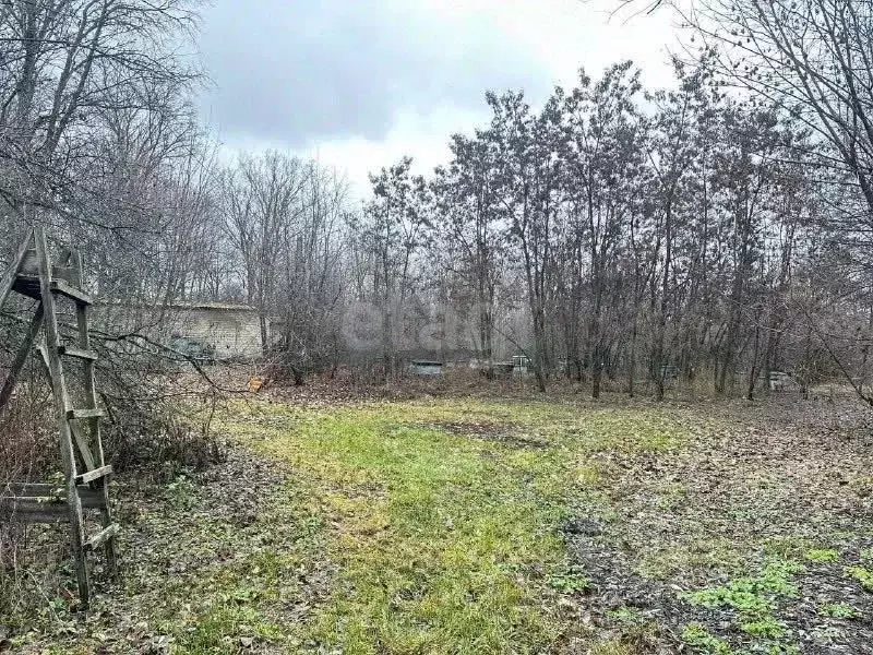 Участок в Саратовская область, Новобурасский район, Тепловское ... - Фото 1