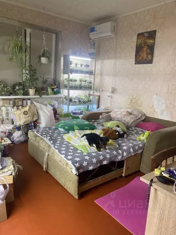 2-к кв. Ростовская область, Ростов-на-Дону Вятская ул., 51 (53.0 м) - Фото 0