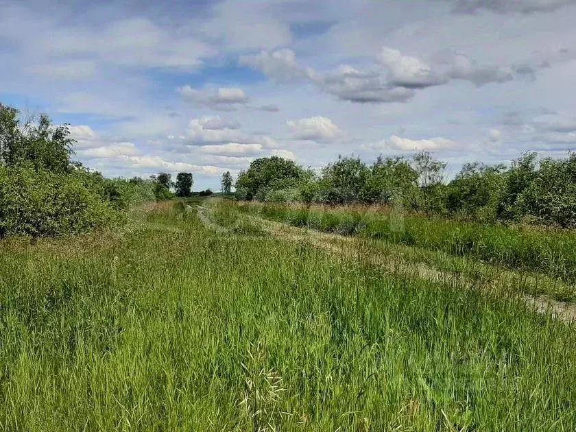 Участок в Тюменская область, Тюмень  (182.0 сот.) - Фото 2