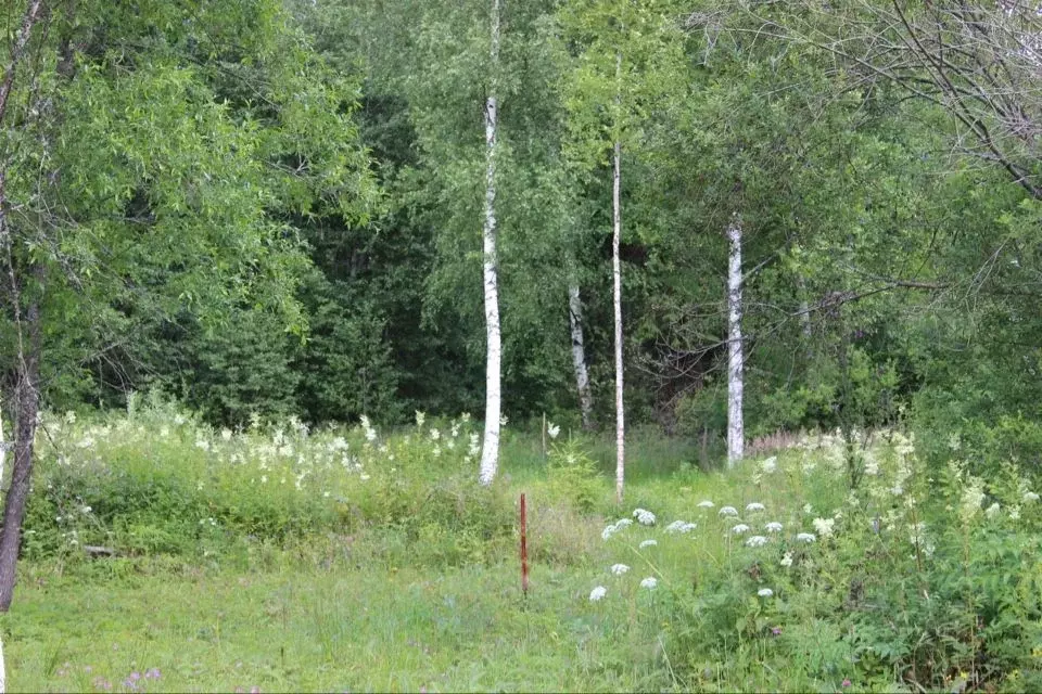 Участок в Новгородская область, Демянский муниципальный округ, д. ... - Фото 0