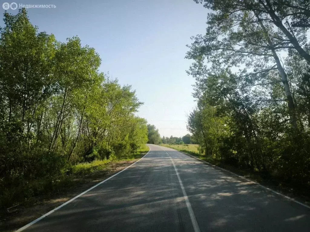 Участок в Старочеркасская, Полевая улица (7 м) - Фото 0