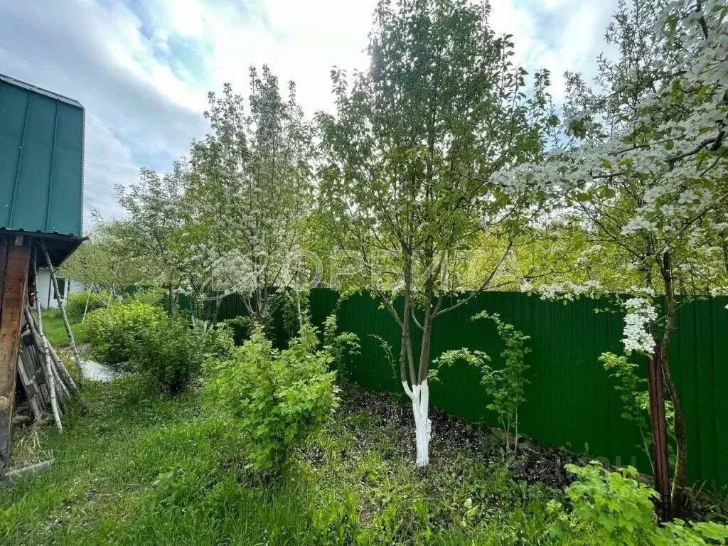 Участок в Тюменская область, Тюменский муниципальный округ, Боровский ... - Фото 1