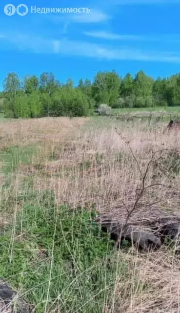 Участок в село Фоминское, Ленинградская улица (16 м) - Фото 0