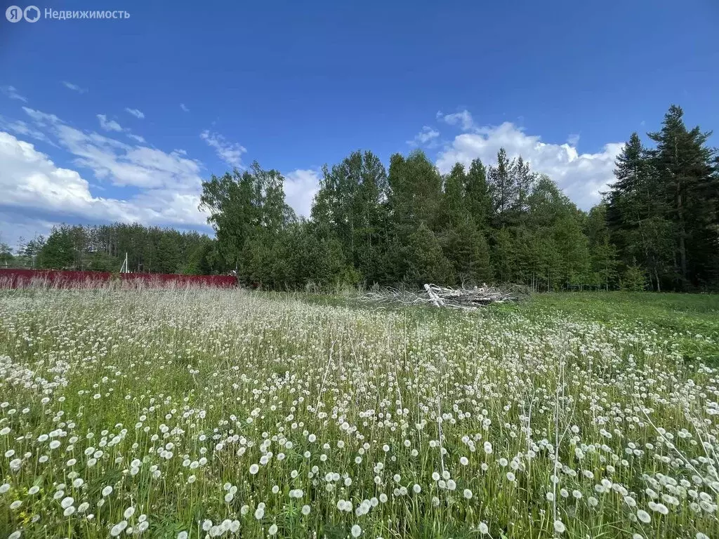 Участок в село Косой Брод, Солнечная улица (11.5 м) - Фото 2